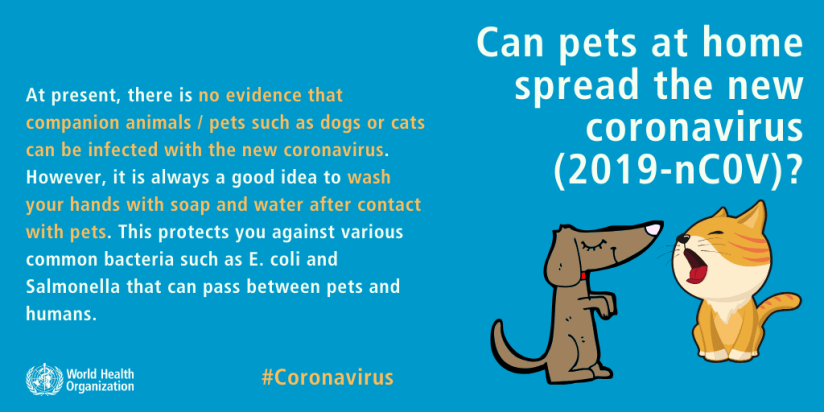 coronavirus and pets
